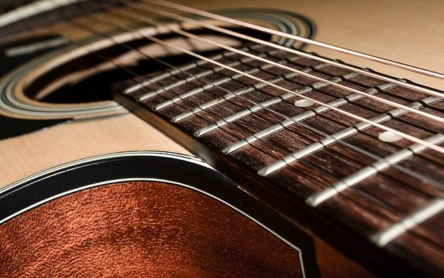 Comment dater une guitare Takamine