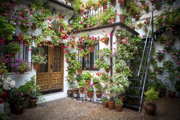 Comment poser des dalles de patio en béton