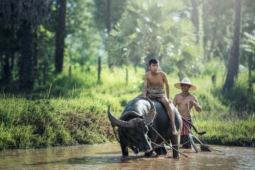 Différences entre la culture chinoise et la culture occidentale.