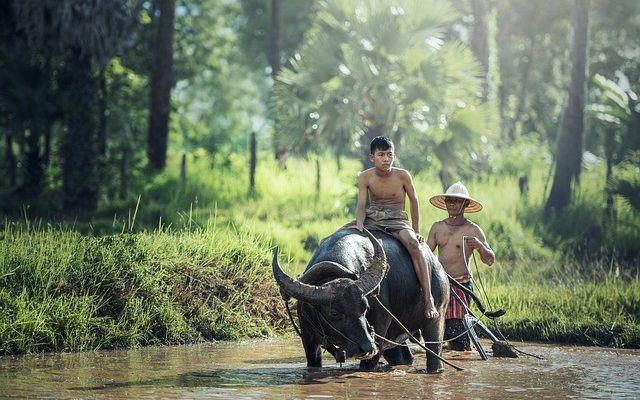 Différences entre la culture chinoise et la culture occidentale.