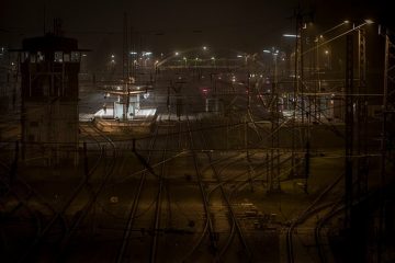 Différences entre les croisements de pélican et de macareux macareux.