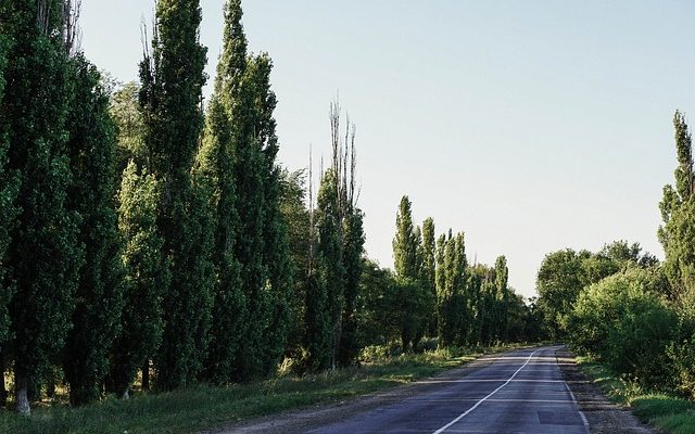 Entraînement elliptique ou pas à pas de torsion