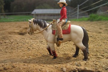 Idées de costume de cowgirl maison de cowgirl