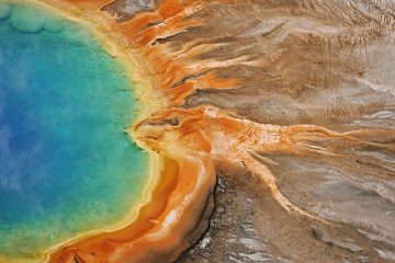 Que fait le sel au point d'ébullition de l'eau ?