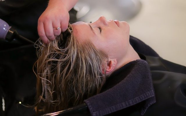 Shampooings médicamenteux recommandés par les vétérinaires