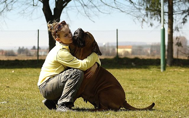 Camps pour adolescents qui aiment les animaux