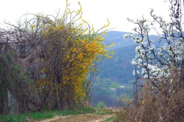 Comment construire un gabarit de chevillage