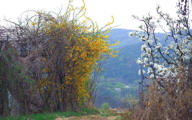 Comment construire un gabarit de chevillage