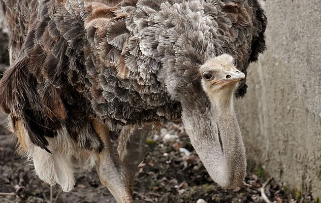 Comment devenir répartiteur de vols