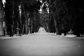 Comment écrire une lettre à un voisin lui demandant de couper un arbre.