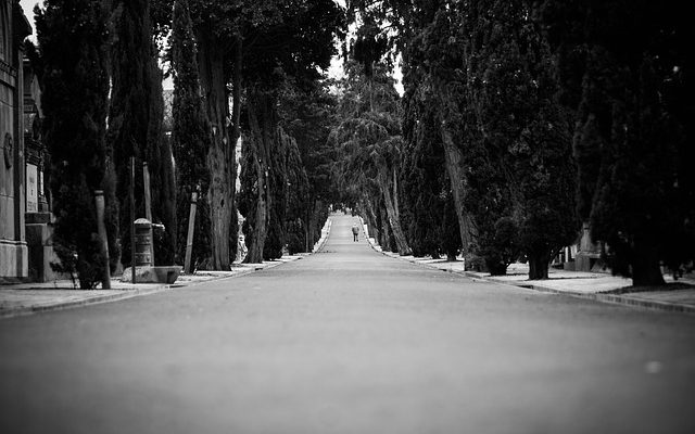 Comment écrire une lettre à un voisin lui demandant de couper un arbre.