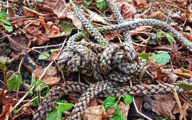 Comment faire une toile d'araignée tissée Dreamcatcher