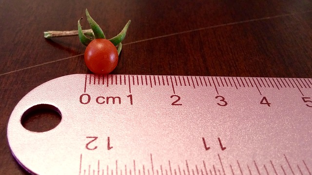 Comment faire vos propres soutiens pour les plants de tomates