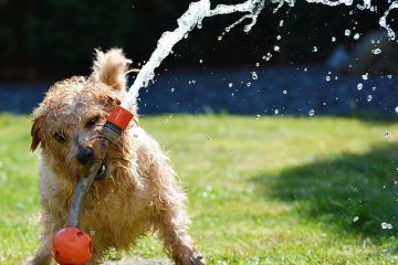 Comment remplacer un tuyau d'évent de sécheuse