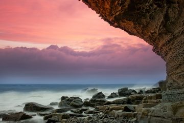 Comment se débarrasser naturellement des algues ?