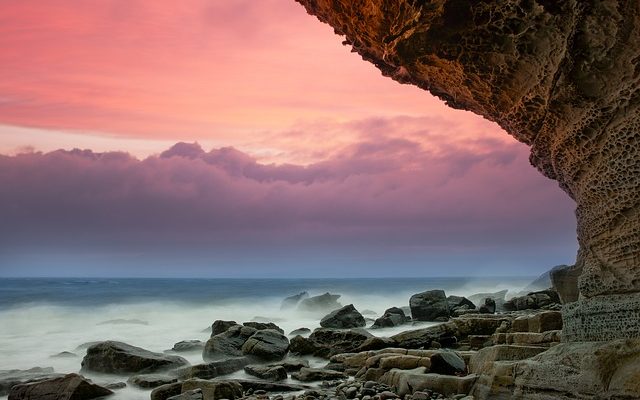 Comment se débarrasser naturellement des algues ?