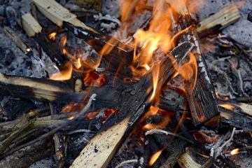 Les cendres aident-elles l'herbe à pousser ?