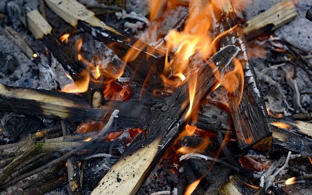 Les cendres aident-elles l'herbe à pousser ?