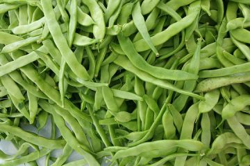 Pourquoi mes haricots verts ont-ils des feuilles jaunâtres ?