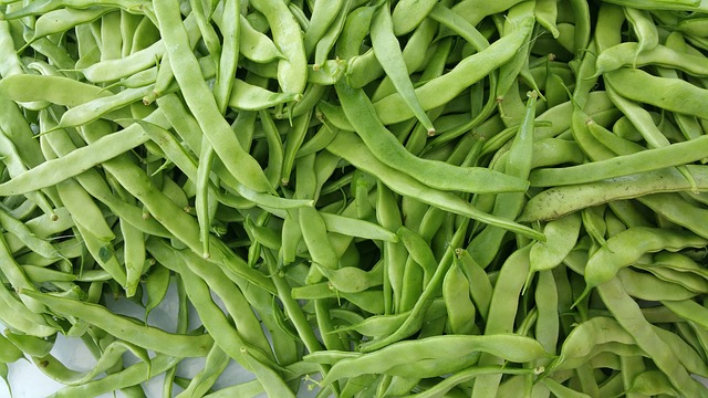 Pourquoi mes haricots verts ont-ils des feuilles jaunâtres ?