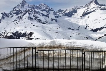 Comment garder un mâle Bélier