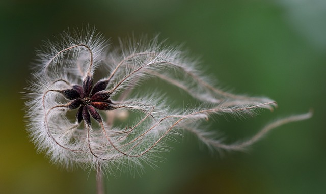 Le gel endommagera-t-il mes semences d'herbe ?