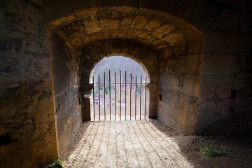 Vis à bois ou Boulon de retardateur