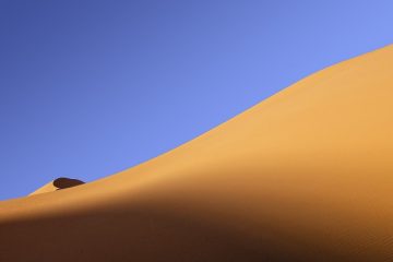 Animaux du désert pour les enfants
