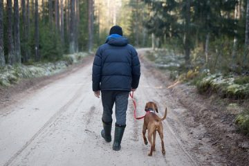 Campings dans le nord de l'Espagne