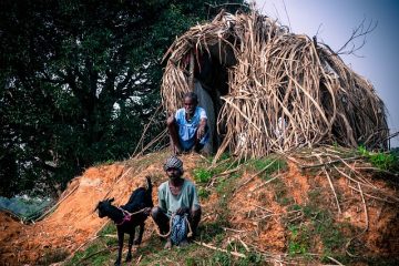 Comment construire un abri pour les chèvres