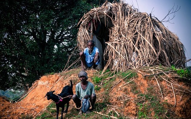 Comment construire un abri pour les chèvres