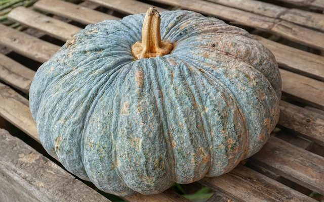 Comment épaissir la soupe aux légumes