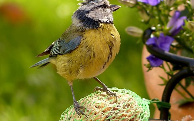 Comment nettoyer les murs graisseux de la cuisine