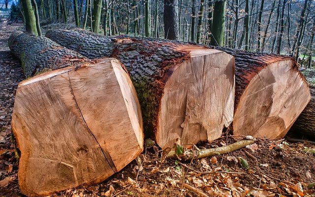 Comment percer un trou dans le contreplaqué