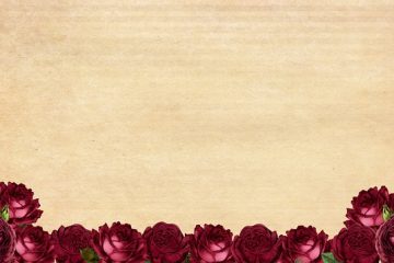 Itinéraire pour le papier de soie et les fleurs d'hibiscus
