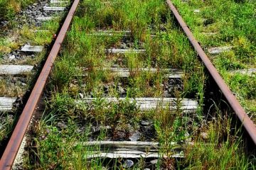 La meilleure façon de tuer les mauvaises herbes sur une allée de gravier