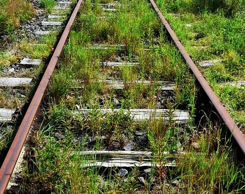 La meilleure façon de tuer les mauvaises herbes sur une allée de gravier