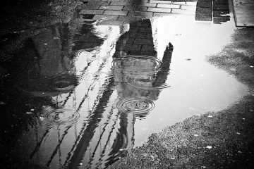 Les effets de la pluie sur une route asphaltée nouvellement asphaltée