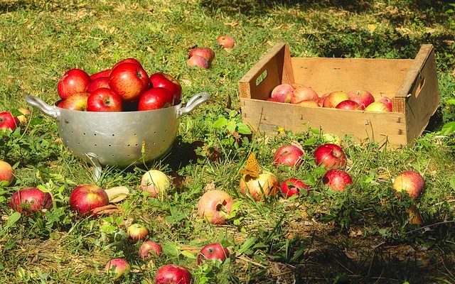 Quelles sont les pommes douces ?