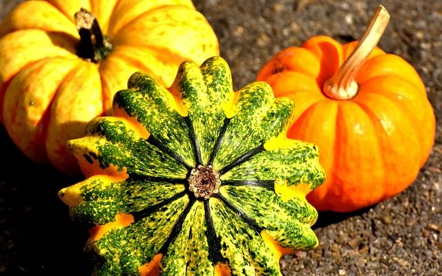 Comment blanchir des citrouilles