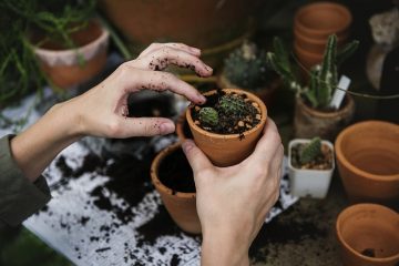 Comment construire un plan de travail au-dessus d'une laveuse et d'une sécheuse