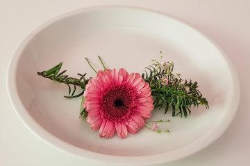 Comment mettre en place une table pour une cuisine raffinée