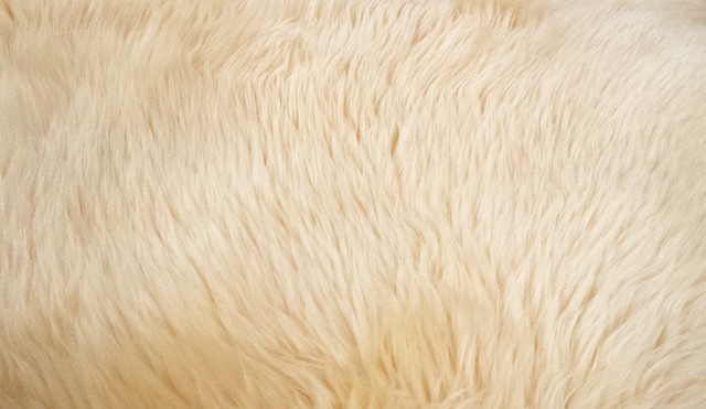 Comment nettoyer un tapis à poils longs en laine