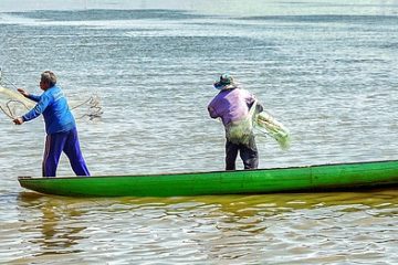 Comment pêcher au chalut pour les crevettes