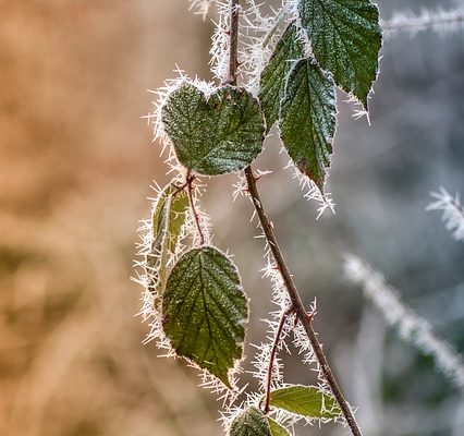 Comment prévenir l'accumulation de glace dans les congélateurs verticaux