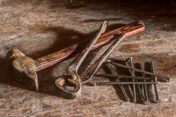 Comment savoir si un humain a des acariens dans l'oreille ?