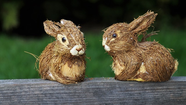 Des fleurs que les lapins n'aiment pas manger.