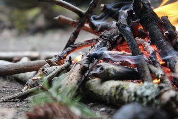 Idées de poêle à bois à foyer à bois