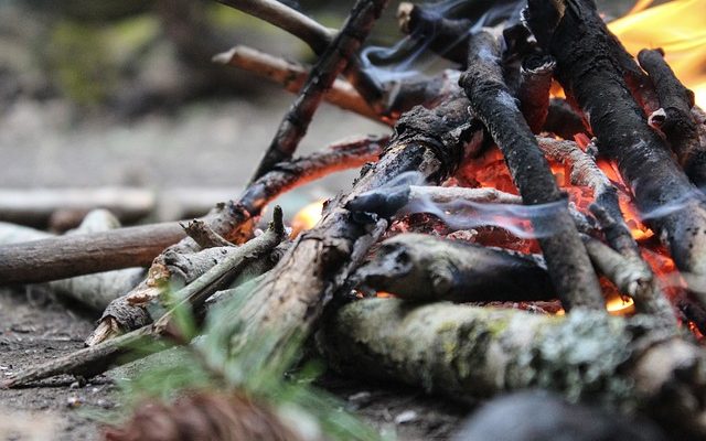 Idées de poêle à bois à foyer à bois