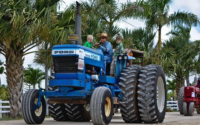 Les différences et similitudes entre Farm Life et City Life.